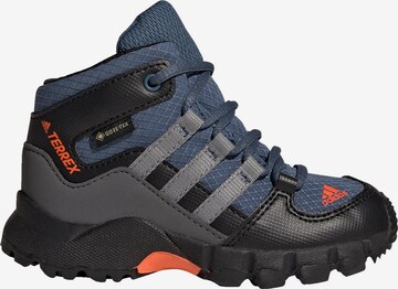 ADIDAS TERREX Boots 'Gtx' in Blue