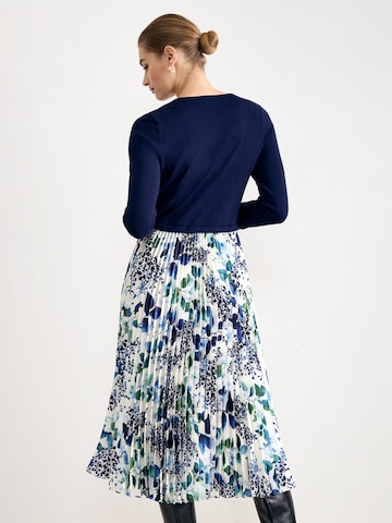 Phase Eight Dress in Blue: back
