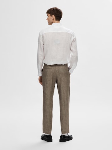 SELECTED HOMME Regular Pleated Pants 'Will' in Brown