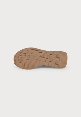 Colmar Låg sneaker 'LOGAN' i brun