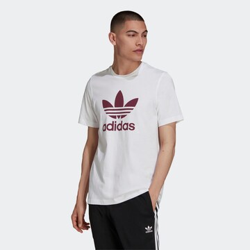 ADIDAS ORIGINALS T-Shirt in Weiß: Vorderseite