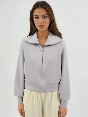 Busem Sweatjacke in Grau