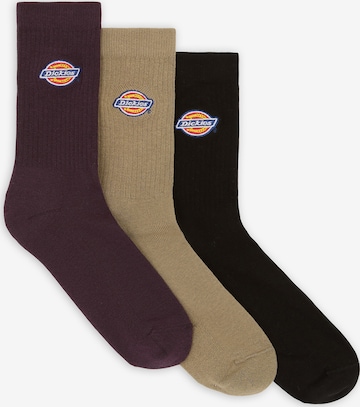 DICKIES - Calcetines 'Valley Grove' en beige: frente