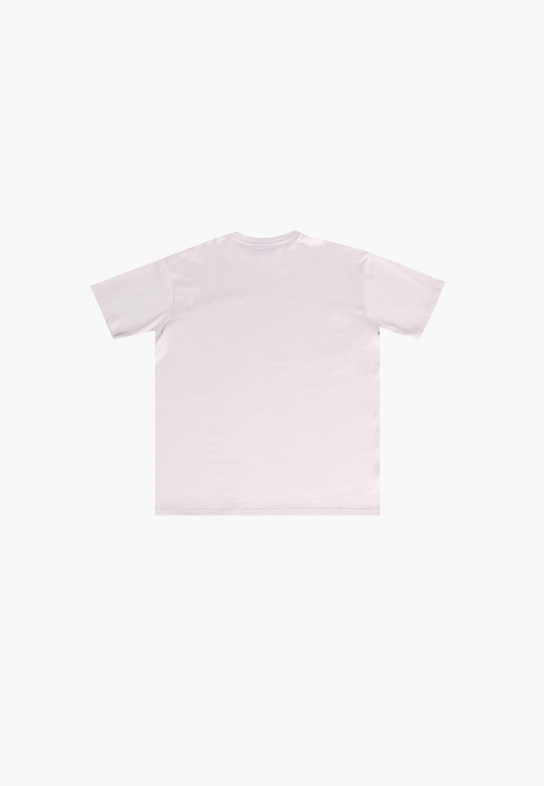 Dropsize Футболка ' ' в Серый