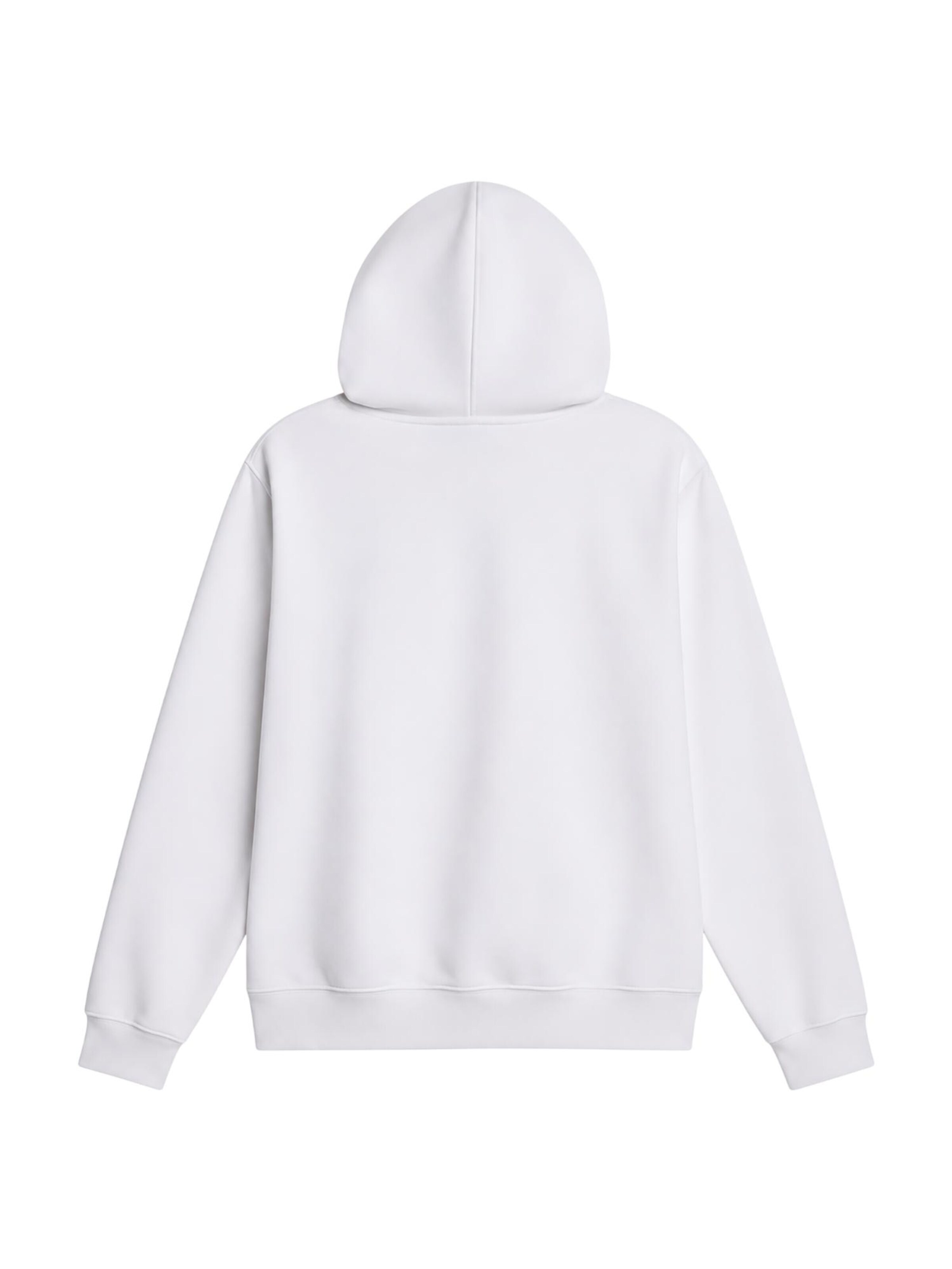 THE NORTH FACE Sweatshirt in White