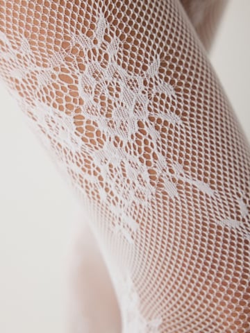 Collant 'PENTI Roses Netzstrumpfhose' di Penti in bianco