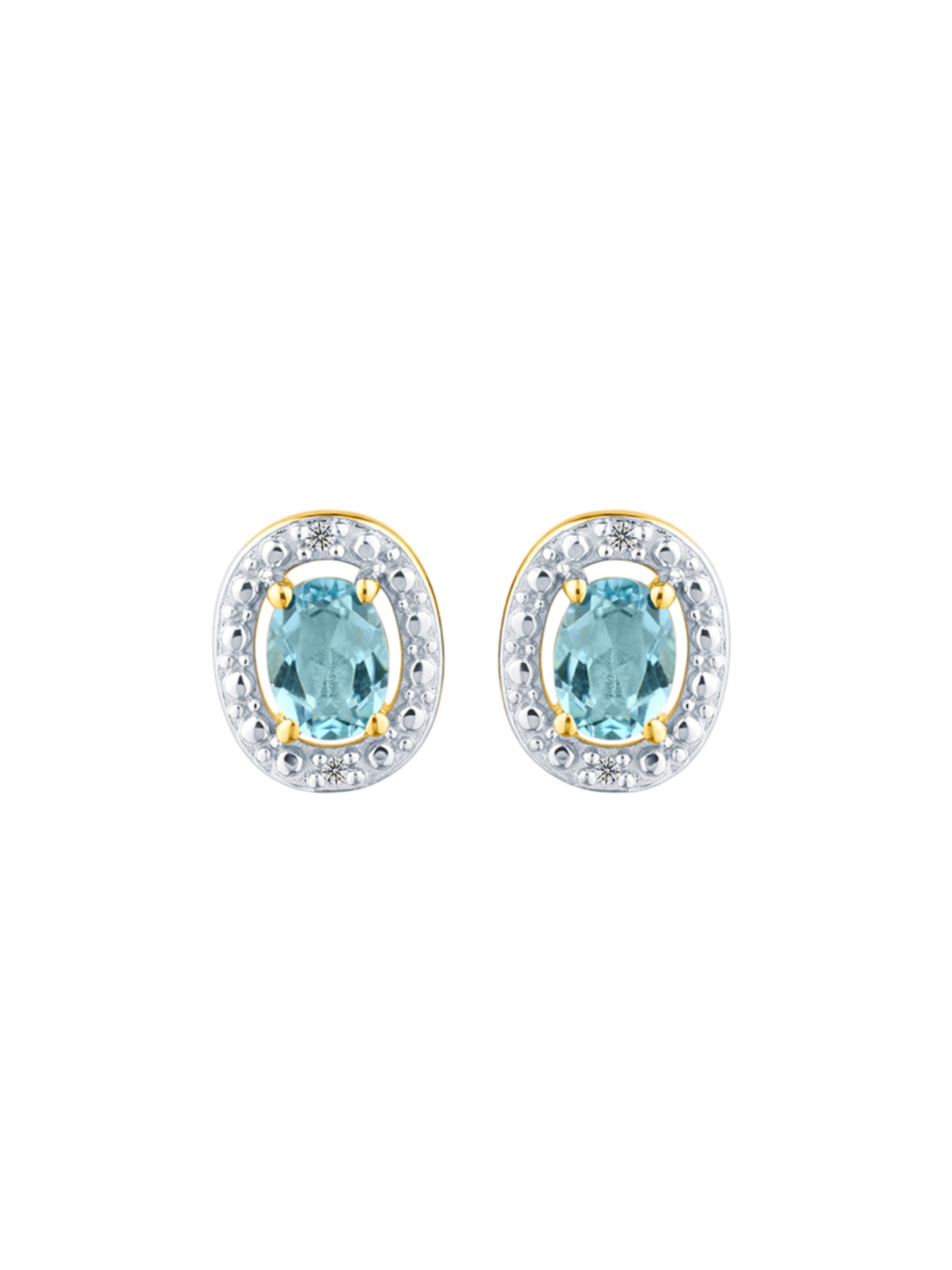 DIAMANT LETERNEL Earrings in Gold: front