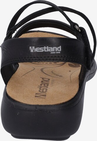 Westland Sandals 'Ibiza' in Black