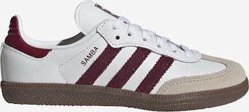 Baskets 'Samba' ADIDAS ORIGINALS en blanc : devant