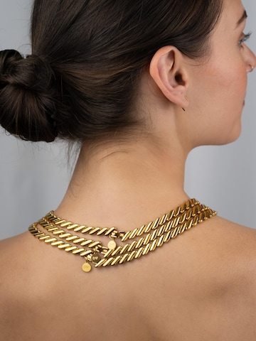Divé Jewellery Necklace in Gold
