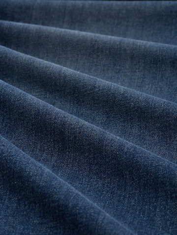 TOM TAILOR Men + Regular Дънки в синьо