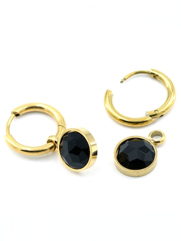 Sergio Engel Earrings in Black: front