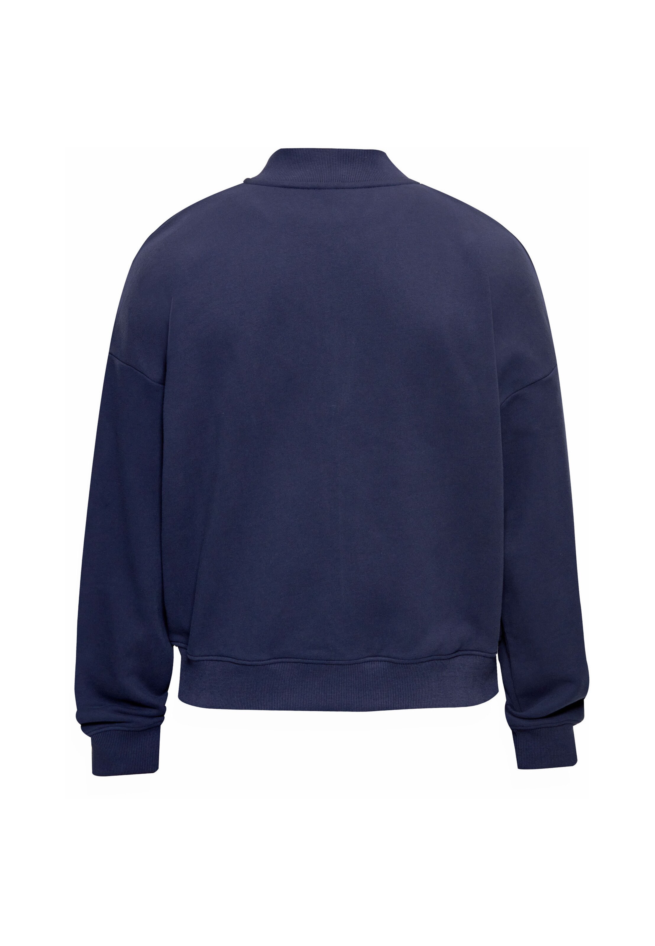 Giacca di felpa di Dropsize in blu
