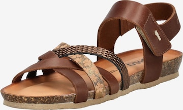 Sandalo con cinturino di IGI&CO in marrone: frontale