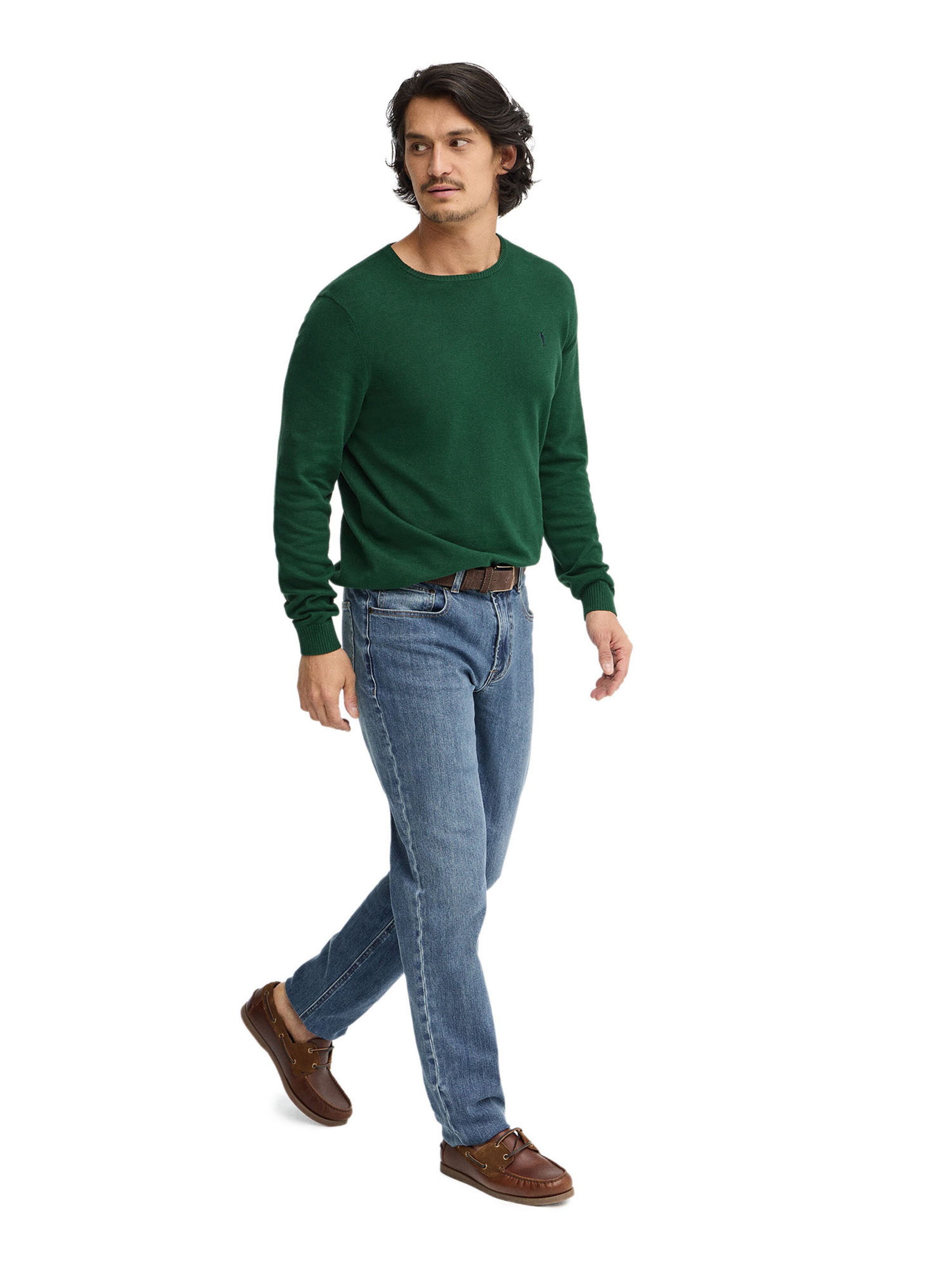 Polo Club Pullover in Grün