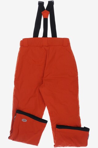 EXXTASY Pants in XL in Red
