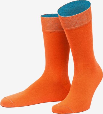Von Jungfeld Socks in Mixed colors