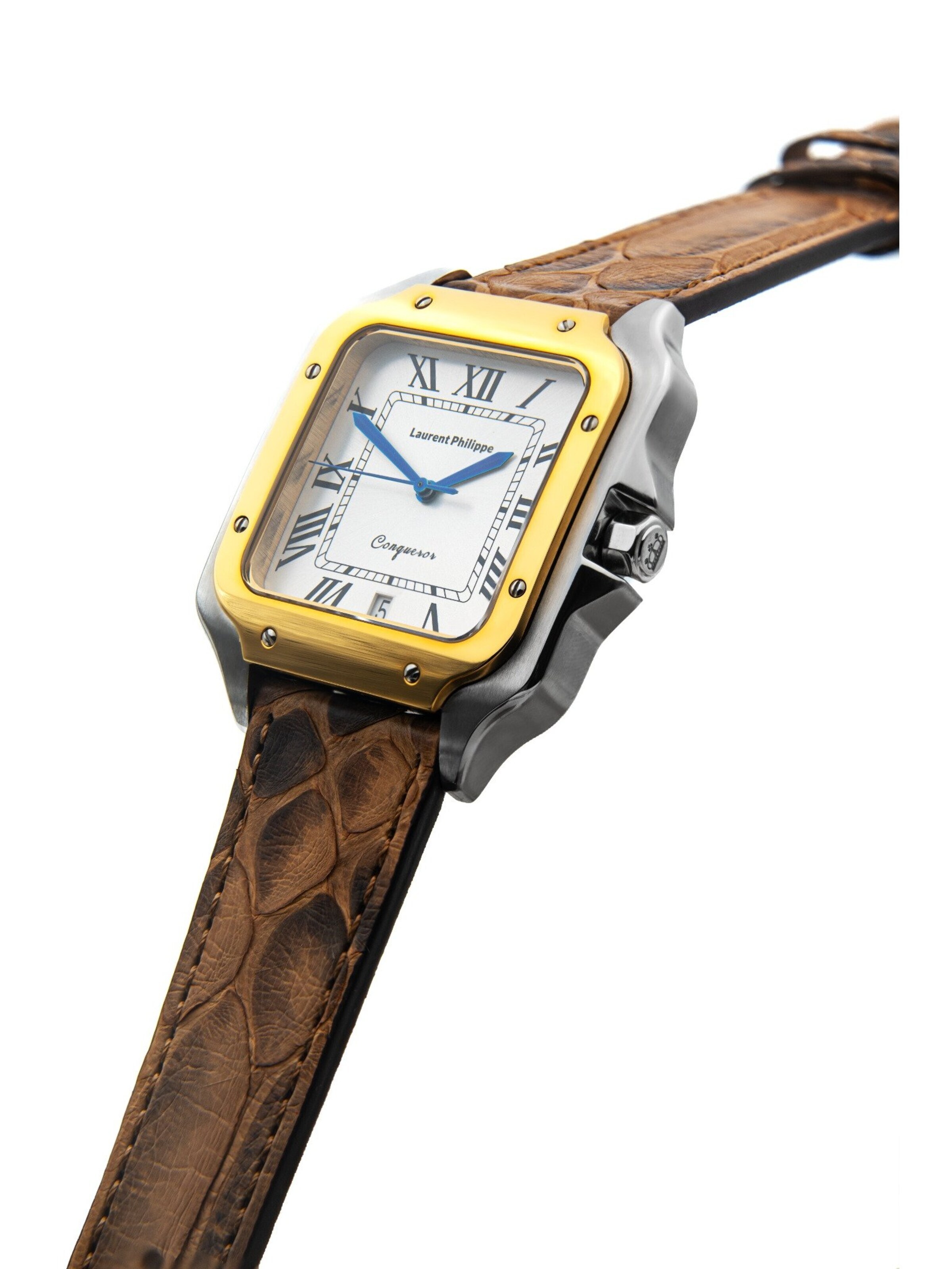 Laurent Philippe Analog Watch in Brown