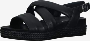 Sandalo con cinturino di IGI&CO in nero: frontale