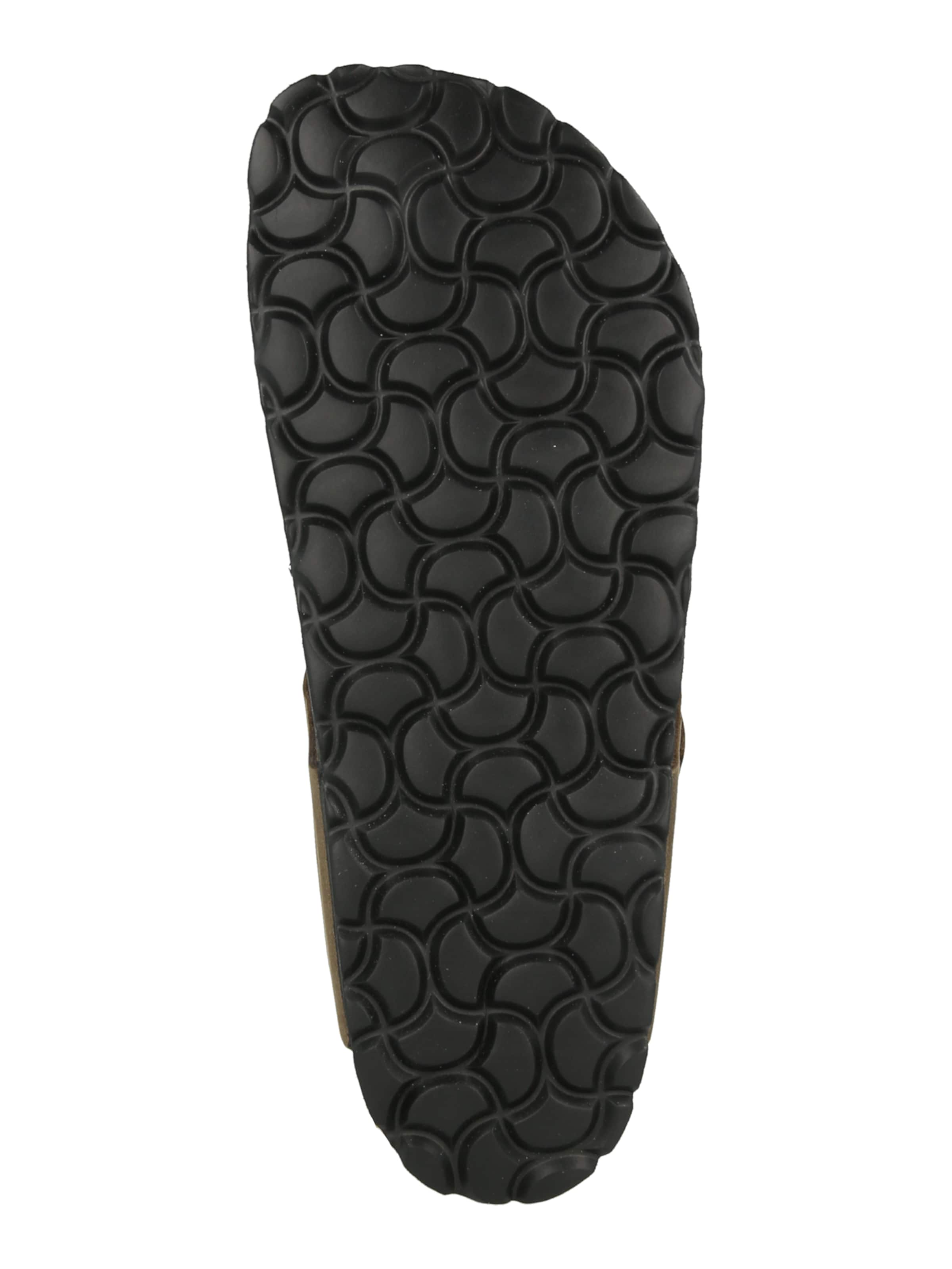 SALAMANDER Klipklappere i brun