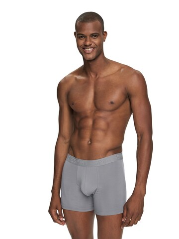 ESPRIT Boxer shorts in Grey