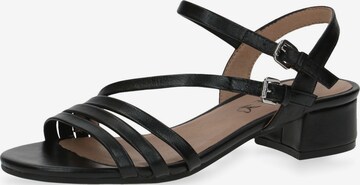 CAPRICE Páskové sandály – černá: přední strana