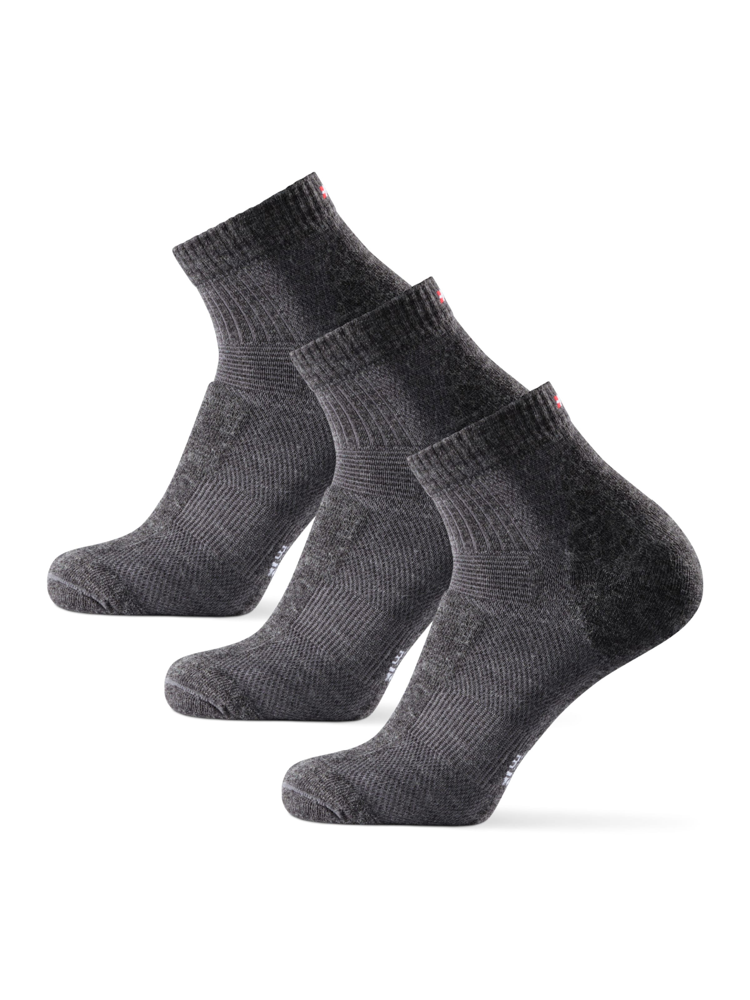 DANISH ENDURANCE Sokker 'Light Hiking Low-Cut' i grå: forside