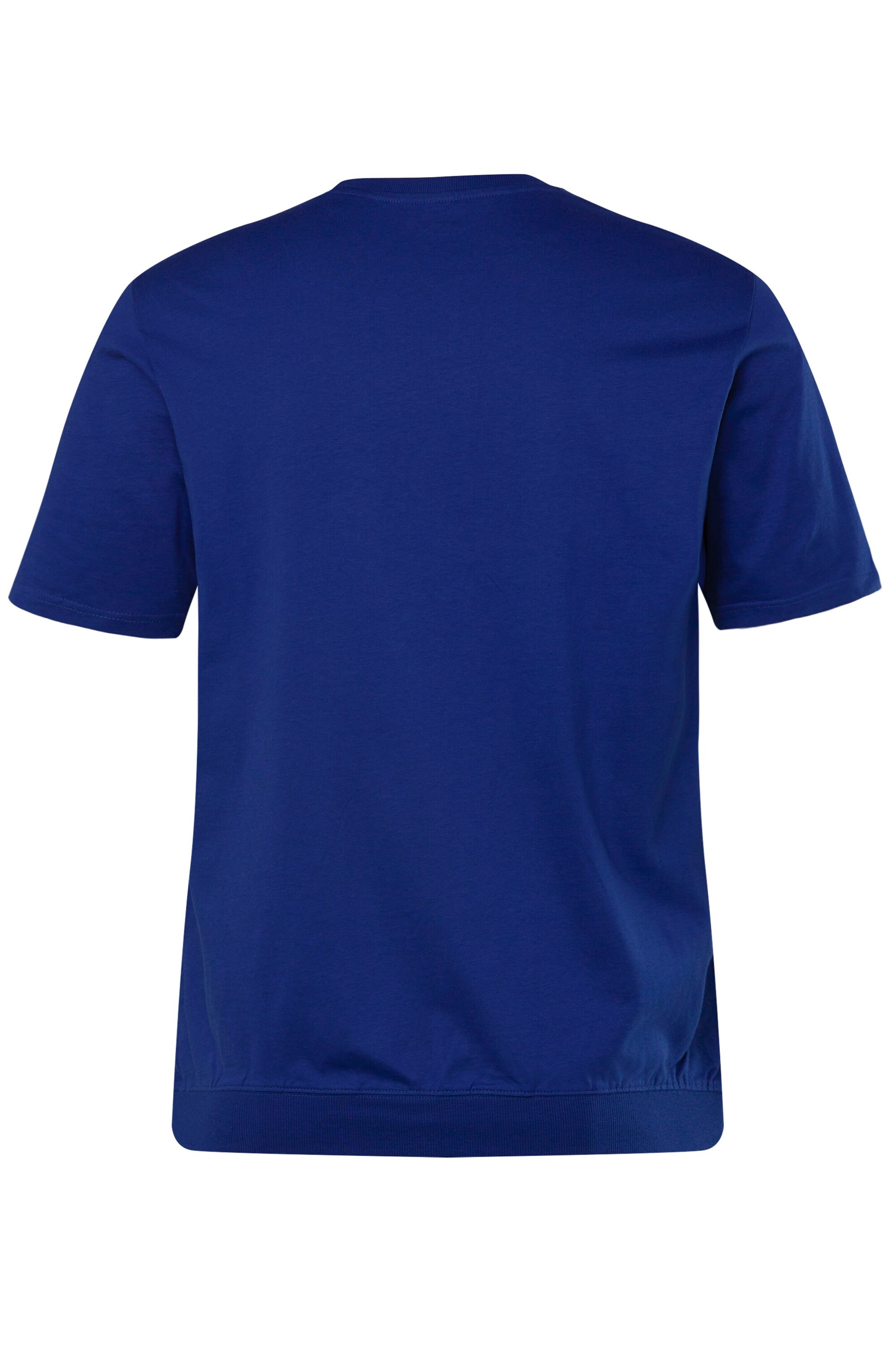 Men Plus Shirt in Blue