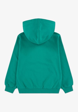 CONVERSE Sweatvest in Groen