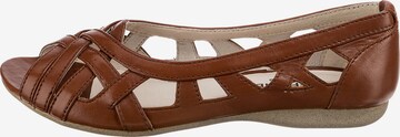 JOSEF SEIBEL Ballet Flats 'Fiona' in Brown