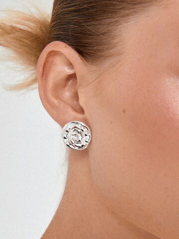 sidabrinė Pilgrim Auskarai 'HAZE'