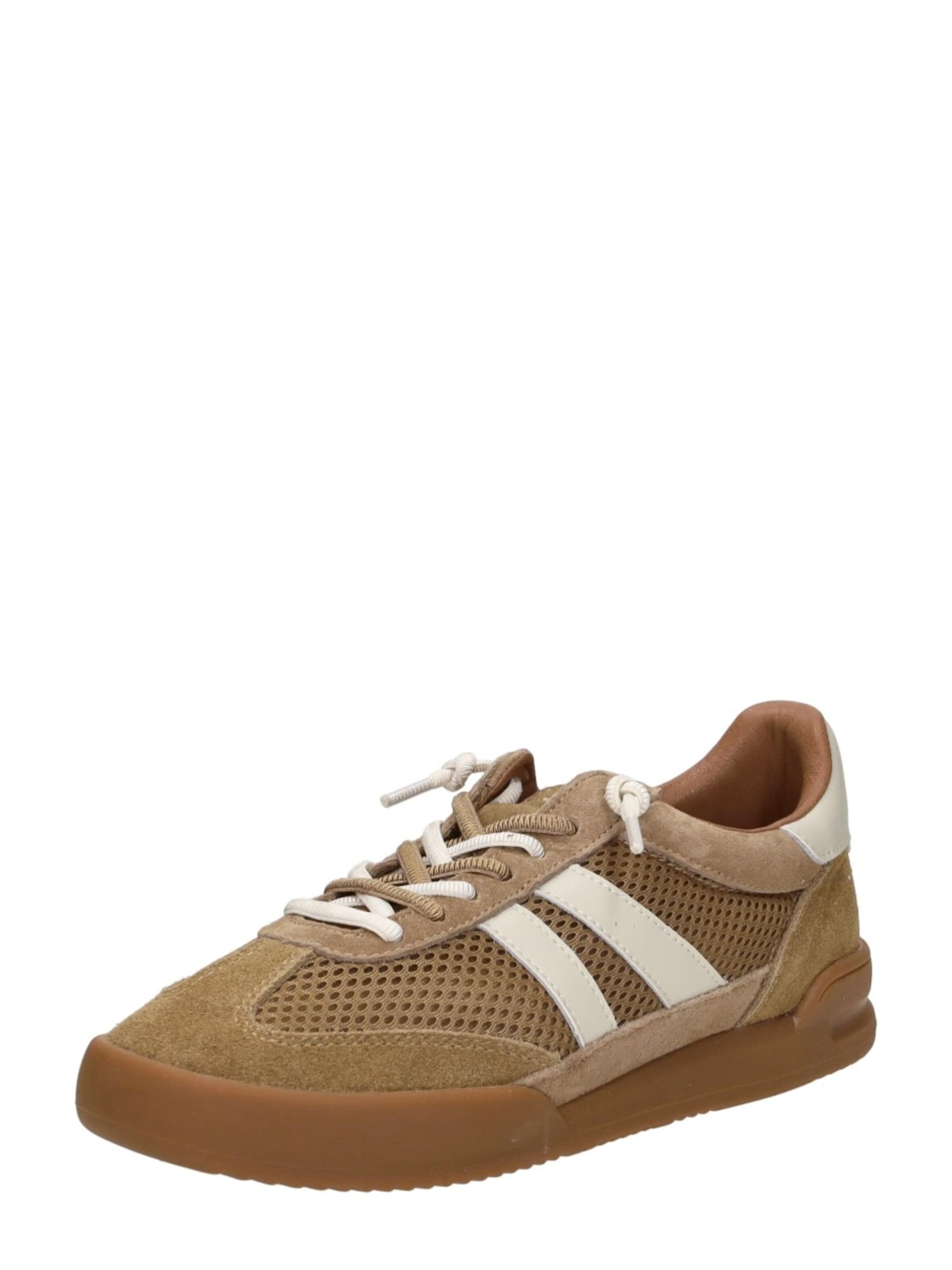 STEVE MADDEN Sneakers 'Verdict' in Brown