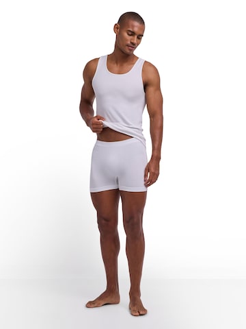 FALKE Boxershorts 'Seamless'‌‌‌‌‌‌‌ in Weiß