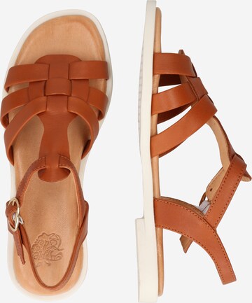 Apple of Eden Strap sandal 'Ayla' in Brown