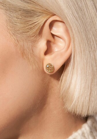 SKAGEN Earrings in Gold: front