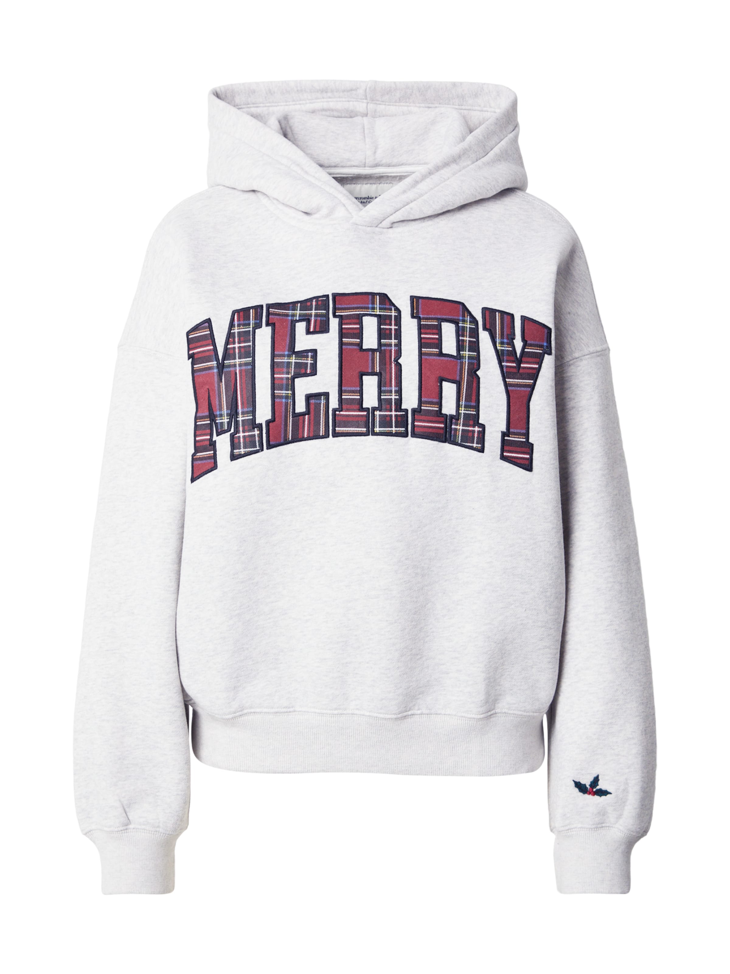 Felpa di Abercrombie & Fitch in grigio: frontale