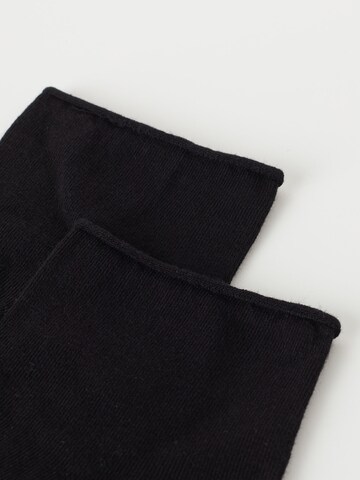 CALZEDONIA Socken in Schwarz: Vorderseite