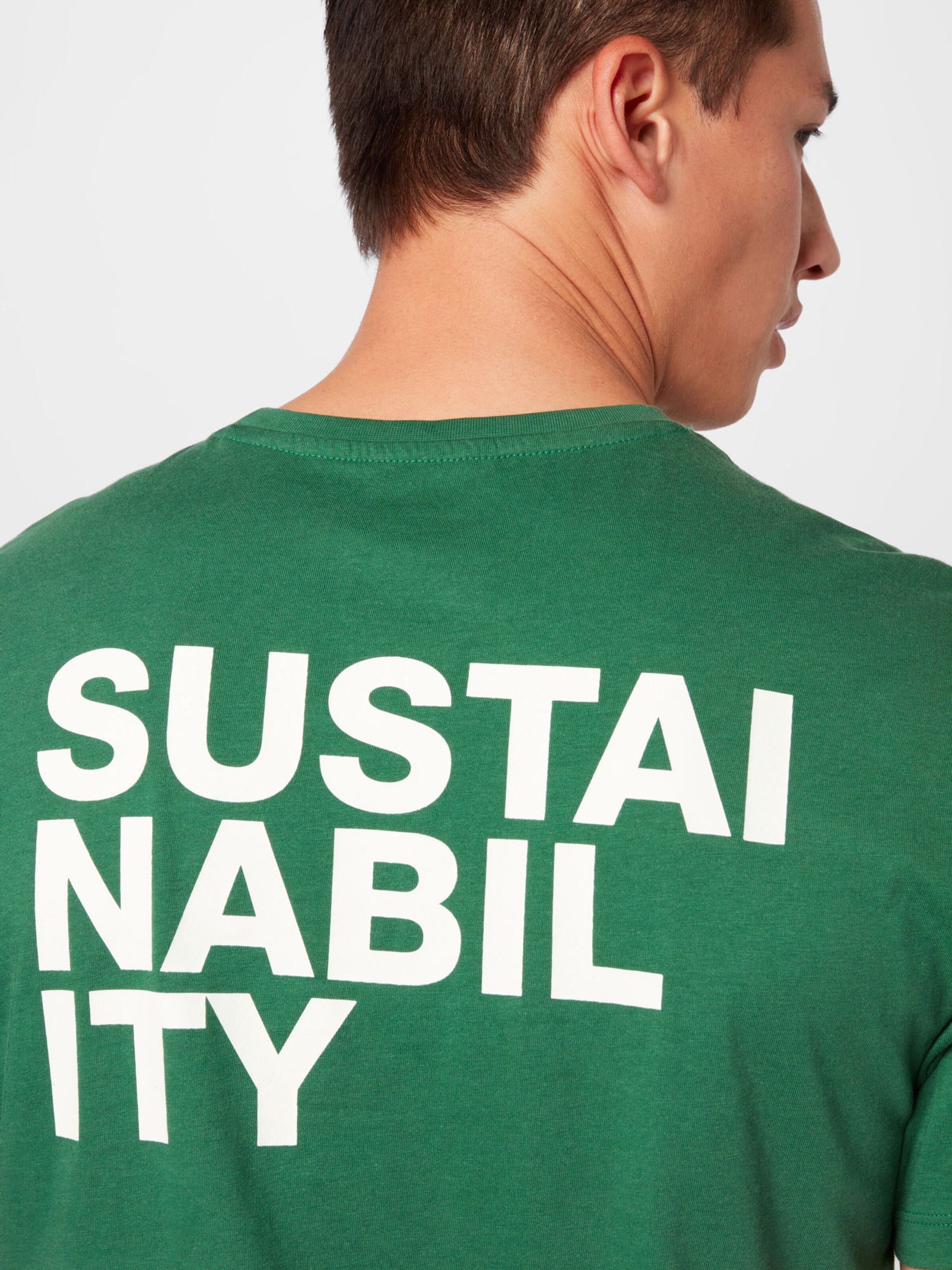 Männer Shirts ECOALF T-Shirt 'SUSTANALF' in Grün - PN31764 Männer Shirts ECOALF T-Shirt 'SUSTANALF' in Grün - PN31764