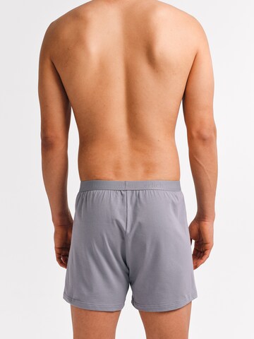 Boxers Erlich Textil en gris