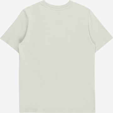 ADIDAS ORIGINALS - Camiseta 'Adicolor' en gris