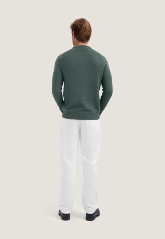 Dstrezzed Sweater 'Yvain ' in Green