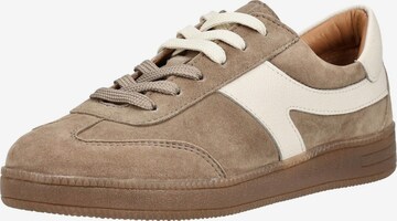 Sneaker bassa di Copenhagen shoes in marrone: frontale