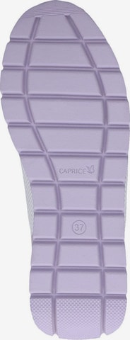 Baskets basses CAPRICE en violet