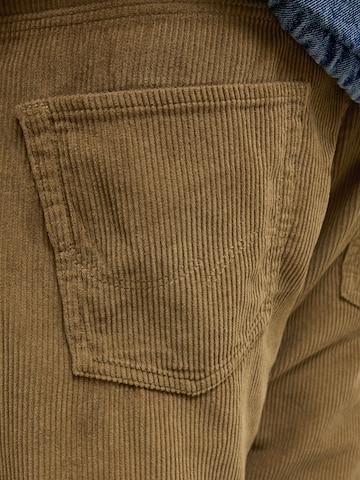 JACK & JONES regular Bukser 'JJ' i brun