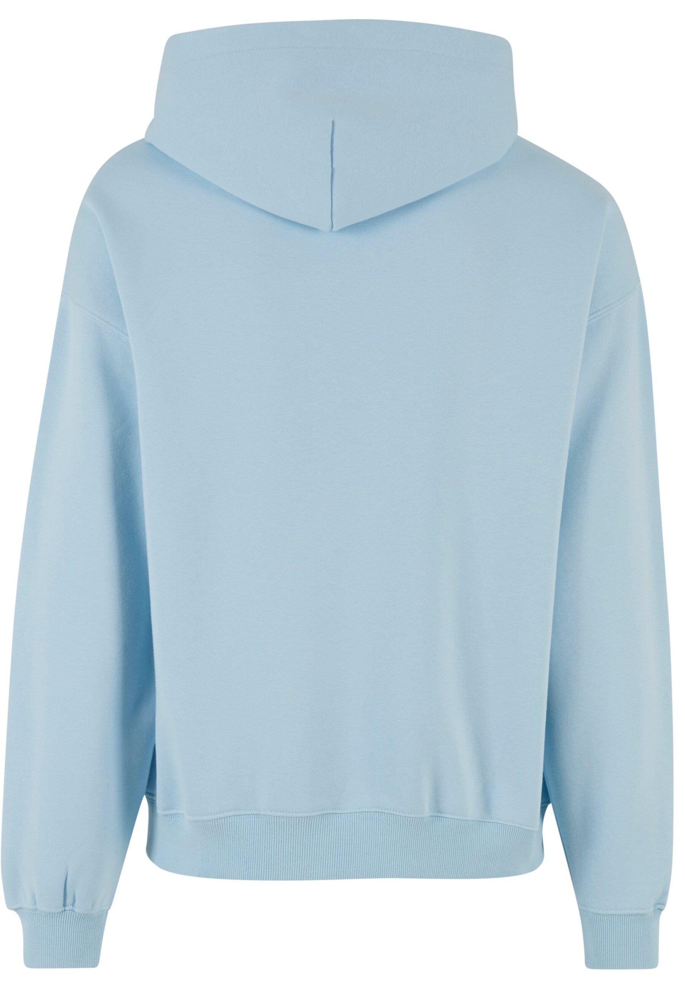 2Y Studios Μπλούζα φούτερ 'Homini' σε μπλε