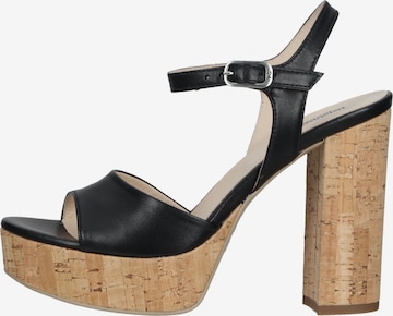 Nero Giardini Sandals in Black