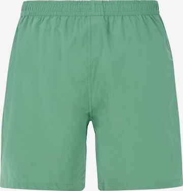 PROTEST Badeshorts 'PRTBAKY' in Grün: Vorderseite