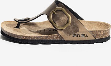 Bayton Pantoletter 'MERCURE' i bronze: forside