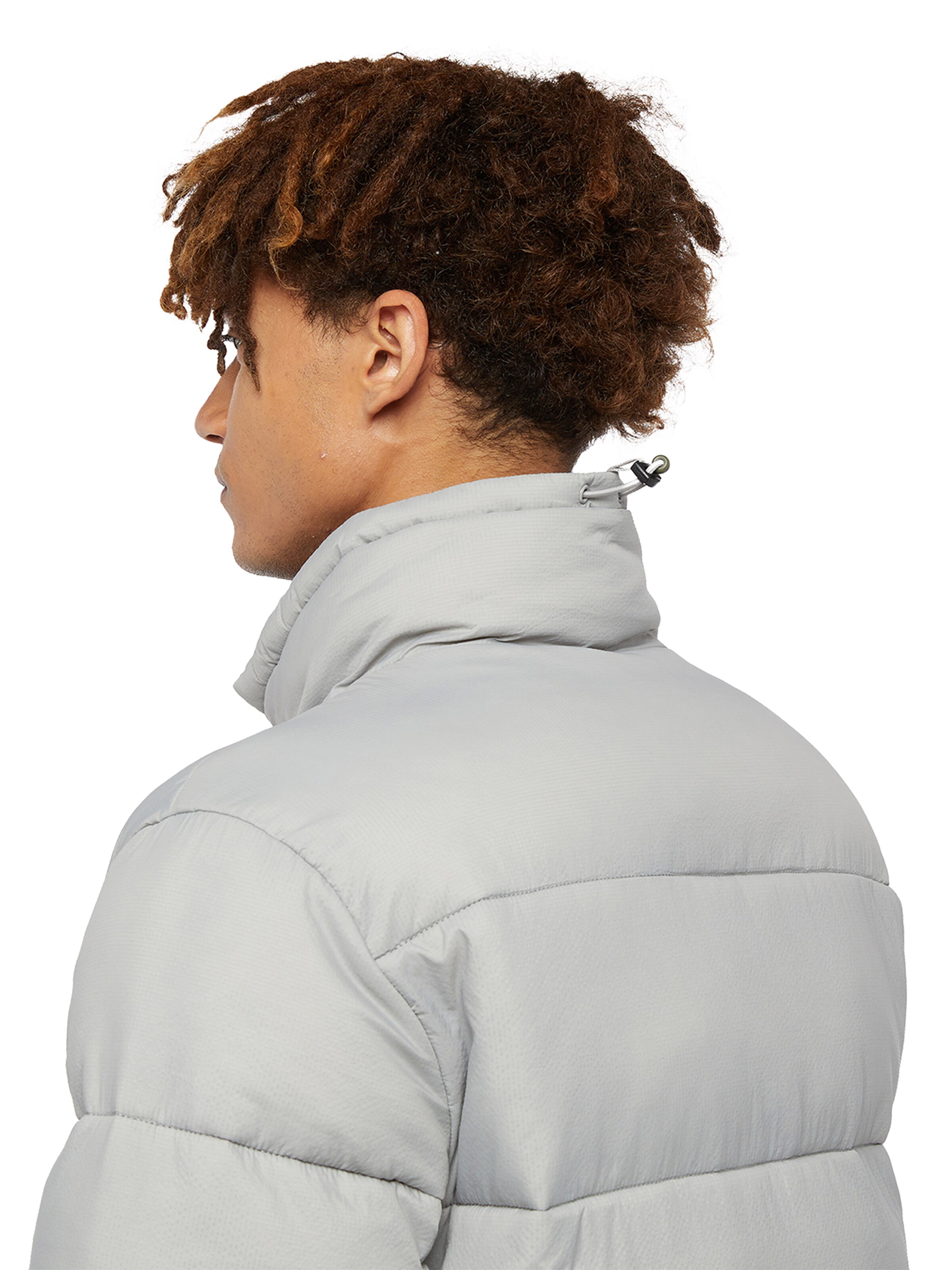 Giacca invernale 'Waldenburg' di DICKIES in grigio