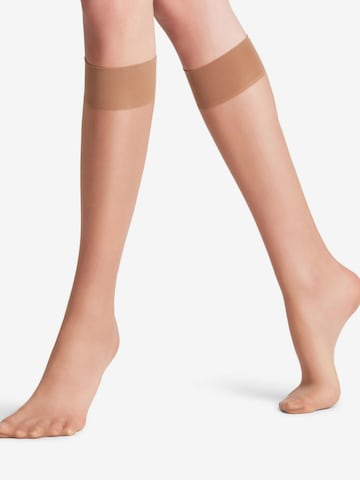 FALKE Knee High Socks 'Seidenglatt' in Yellow: front
